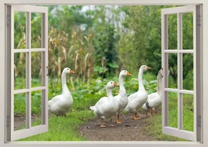 White Goose Ducks Smashed 3D Wall Sticker Poster Decal Mural Room S672 - Picture 1 of 1