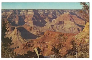 GRAND Canyon VIEW POINT South Rim Tween Flagstaff Williams  Postcard AZ Arizona - Picture 1 of 2