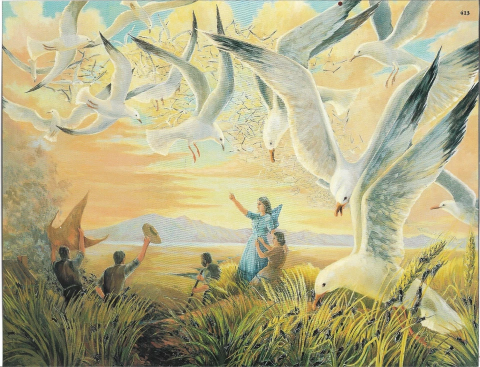 MIRACLE OF THE SEA GULLS  8 1/2 x 11 poster - Image 1 of 1