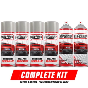 Professional Silver Alloy Wheel Paint x4 and Lacquer x2 Alloy Wheel Refurb Kit - Picture 1 of 8