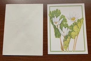 Lillian Vernon Blutwurz Blume Karten (6 Karten und Umschläge) - NEU - Bild 1 von 2