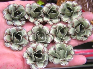 TEN green roses, metal flowers for crafts, jewelry, embellishments, accents - Picture 1 of 1