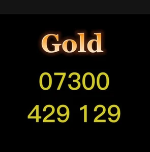 VIP Gold Mobile Number Easy Memorable SIM Platinum Diamond Business EE - Bild 1 von 1