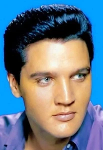 FANTASTICO LOTTO DI 7 BELLISSIME RISTAMPE FOTOGRAFICHE LUCIDE Elvis Presley - Foto 1 di 7