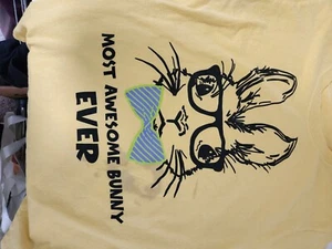 Port Company T-Shirt Most Awesome Bunny Ever Size small - Picture 1 of 3