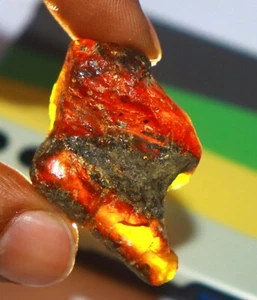 44.90Ct Discounted Sale Brown Amber Uncut Rough EGL Certified Loose Gemstone SPC - Picture 1 of 5