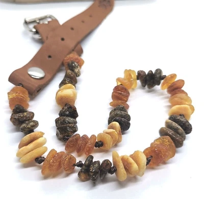 Raw Amber Dog Cat Collar Natural Baltic Amber Chips For Small Pets 10"-12" - Image 1 of 4