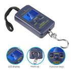 40Kg  Hanging Scale Electronic Fishing Weights Scale LCD Digital Mini Scale