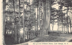 Postal NY: Sitio de Fort William Henry, Lake George, Nueva York, década de 1910 - Imagen 1 de 2