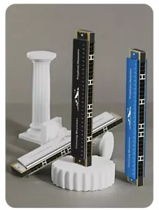 Chiave Armonica Tremolo Nome Inciso Personalizzata 28 Fori di C per Musicisti - Foto 1 di 22