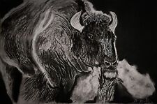 Buffalo Drawing 