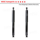 Rear Shock Absorber Pair 2 For 2000-2004 Ford F-150 Heritage F-250 Ford Lobo
