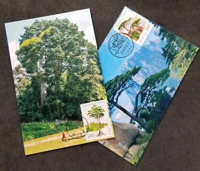 China Malaysia Joint Issue 50th Diplomatic Relations 2024 Tree (maxicard) - Image 1 of 4