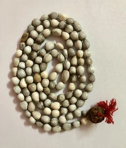 VAIJANTI BEEJ Mala Vaijayanti Seed ROSARY 100+ Prayer Beads Vishnu Puja F/S - Picture 1 of 4