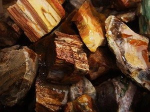 2000 Carat Lots of Unsearched Petrified Wood + a Free Faceted Gemstone - Picture 1 of 8
