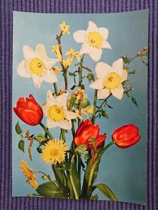 Old Postcard Tulips Forsythia Emmerich Art Card Leipzig - Picture 1 of 2