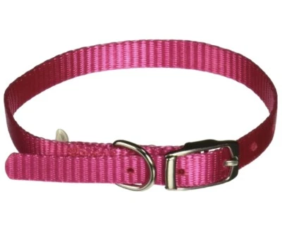 Aspen Pet Products Collar Estándar NYL, Rojo, 10" x 3/8" Nylon de Alta Calidad Mejor Foto 1 de 2