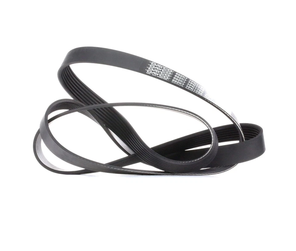 DAYCO Courroie Poly-V Courroie d'accessoire 7PK1759 pour BMW 7 (E65, E66, E67) - Photo 1/4