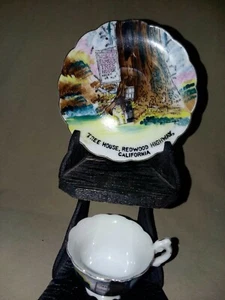 Vintage G. Nov Co. Miniature Souvenir Cup & Saucer. Tree House Redwood... - Picture 1 of 6