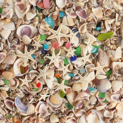 Tiny Sea Shells for Crafting,7 Ounces Mixed Mini Seashells with Sea Glass 20 Pcs - Image 1 of 2