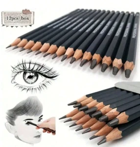 12 PCS Sketching Pencil Set - HB to 2H, with Portable Case for Art Students - Picture 1 of 6