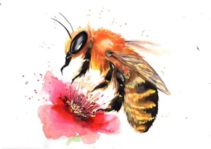 Bee watercolor on paper original painting 8"x11" by Anne Gorywine - Picture 1 of 4