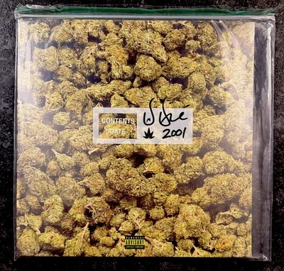 Dr. Dre 2001 25th Anniversary ED Clear Split Green Vinyl-(OUT OF PRINT/SEALED) - Image 1 of 4