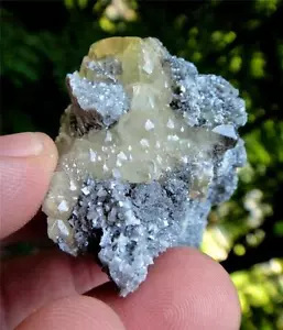 Exquisiter Calcitkristall auf Matrix - Saratoga Springs, NY mit Schrittformation - Bild 1 von 1