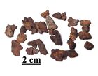 RARE ! Météorite Mésosidérite, Vaca Muerta, Chili, lot de fragments rouillés 25 gr#7