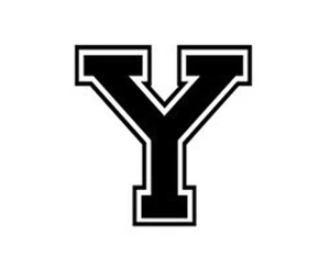 Varsity College Lettering - Letter Y - Car Tablet Vinyl Decal - Picture 1 of 1
