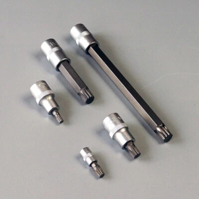 Bit Einsatz Innenvielzahn Stecknuss XZN Vielzahn M4 - M18, Nuss 1/4", 3/8", 1/2"