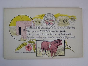 State of Nebraska Vintage Unused Postcard - Picture 1 of 2
