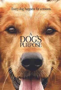 A Dog's Purpose (DVD, 2017) NEW - Bild 1 von 1