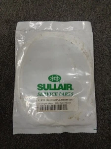 Nueva sonda de control de temperatura Sullair 250039-909 P RTD 100 OHM Platinum 12 ft - Imagen 1 de 3