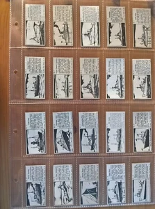 Typhoo Tea Trade Cards: Schiffstypen Paketausgabe Komplettsatz in Hüllen - Bild 1 von 1