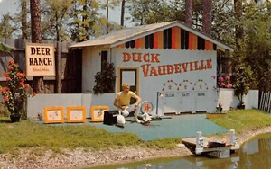 Postal Deer Ranch VODEVIL PATO Biloxi Mississippi 7634 - Imagen 1 de 2