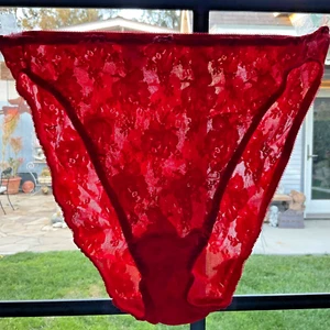 Vtg. Christian Dior Intimates Panties Sheer Floral Red Lace High Cut Panty - Picture 1 of 6