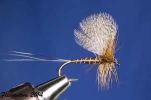 Fliegentom Trockenfliege - 3 Stück braune Maifliege mit Fächerflügel - Bild 1 von 5