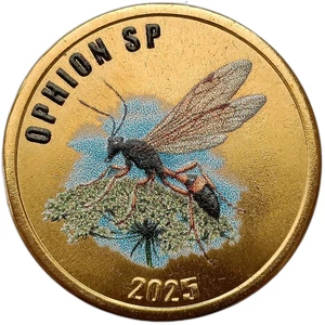 CHILOE ISLAND - CHILE 2 POUNDS 2025 BUG ICHNEUMON WASP  COLORED 29mm UNC - Picture 1 of 2