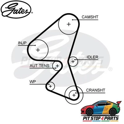 Correa de distribución de fibra de vidrio Gates 5656Xs para Ford Transit Connect 2013-2025 Foto 1 de 4