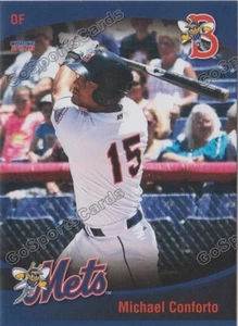 2015 Binghamton Mets Team Set NY Mets Minor - Picture 1 of 1