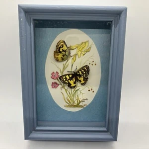Scatola Ombra Vintage 3D Rialzata Monarca Farfalle Fiori Incorniciata 5,25 x 7,25 In - Foto 1 di 10