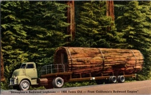Vintage Postkarte Straughan's Redwood Blockhaus CA Kalifornien Redwoods P-790 - Bild 1 von 2