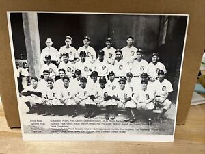 1934 DETROIT TIGERS Team Photo Black & White 8 x 10 World Series 
