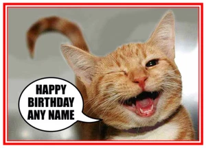 PERSONALISED CUTE FUNNY CAT KITTEN WINKING QUALITY BIRTHDAY/OTHER CARD FREE POST - Picture 1 of 1