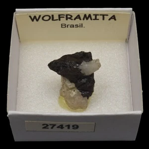 WOLFRAMITA (Brasil) #27419 / Wolframite - Picture 1 of 1