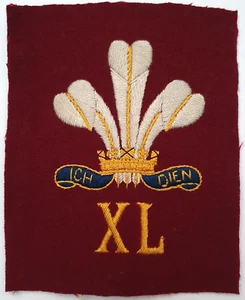 The Royal Regiment of Wales 24th/41st Foot XL Vintage Blazer Badge British Army - Picture 1 of 4