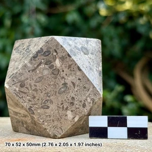 Polished marble tetradecagon paper weight - natural stone desk decor - genuine - Picture 1 of 1