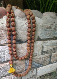 CUENTAS REALES RUDRAKSHA MALA (54+1)/ROSARIO/ENORMES 5 MUKHI RUDRAKSH MALA 14MM EE. UU. - Imagen 1 de 6