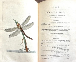 1796-97 1st Ed Vols 5 + 6 DONOVAN NATURAL HISTORY BRITISH INSECTS 72 Copper Plts - Imagen 1 de 24